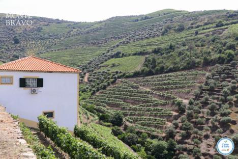 Quinta Do Monte Bravo - Douro - Quarto Duplo Villa Ervedosa do Douro Exterior photo