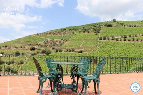 Quinta Do Monte Bravo - Douro - Quarto Duplo Villa Ervedosa do Douro Exterior photo